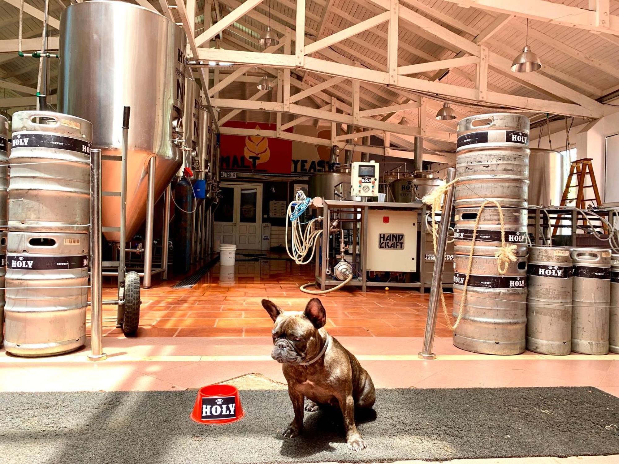 Beer Hotel Iguazú Puerto Iguazú Kültér fotó